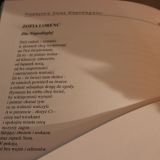 Część publikacji - poezja i opowiadania, zdj. Beata Nowakowska-Dzwonnik